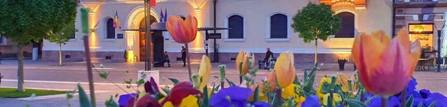 Oradea Bucket List: 21 de chestii de făcut prin Oradea într-o viață