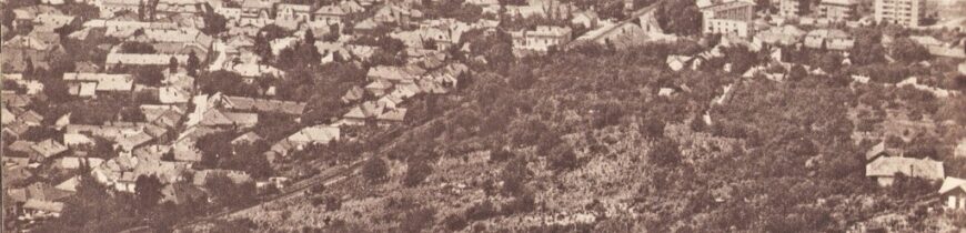 Ciuperca de altadata