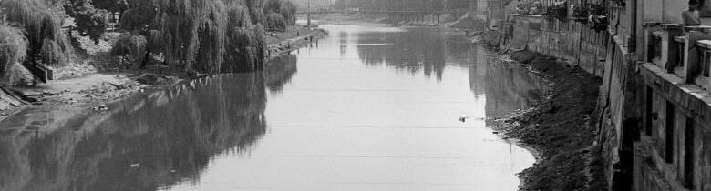 Crisul Repede in 1964