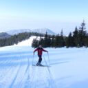 Orădeni, așa da…Lucian Nistor