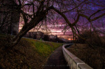 Faleza Crisul Repede