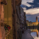 Apus romantic