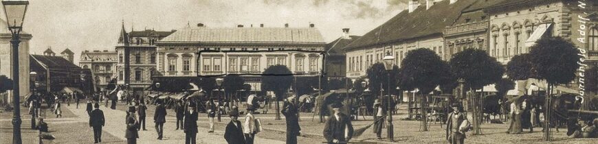 Oradea veche: Piata Sf Ladislau azi Piata Unirii