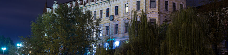 Palatul Levay