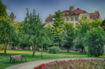 Palatul Ullmann privit din Parcul 1 Decembrie