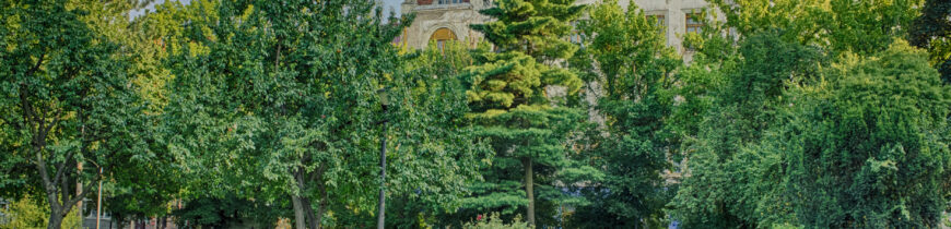 Palatul Ullmann privit din Parcul 1 Decembrie