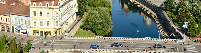 Panorama Crisul Repede #1