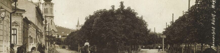 Parcul Milenar azi Parcul Libertatii