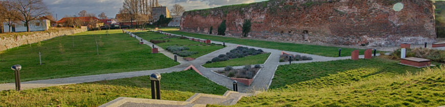 Parcul dendrologic din Cetate