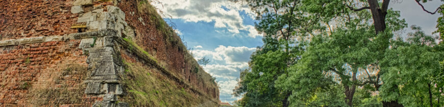 Parcul dendrologic din Cetate