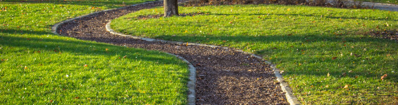 Plimbare prin Parcul dendrologic