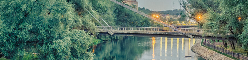 Podul Intelectualilor/Podul Paralelor