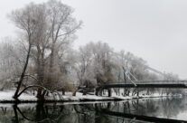 Podul Intelectualilor iarna