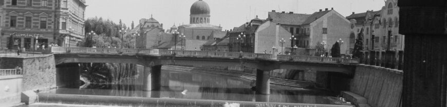 Podul din centru 1980