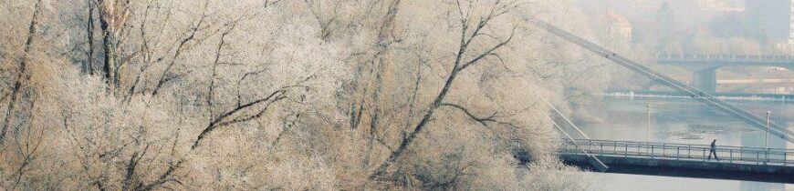 Podul intelectualilor inghetat