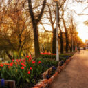 Peisaj de primăvară în Parcul Libertății