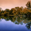 Toamna reflectata in Crisul Repede