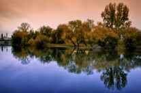 Toamna reflectata in Crisul Repede