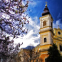 Magnolii și Catedrala Romano-Catolica