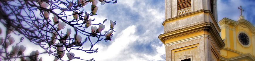 Magnolii și Catedrala Romano-Catolica