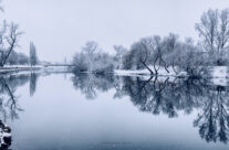 Crișul Repede, iarna