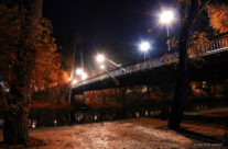 Toamna intelectualilor